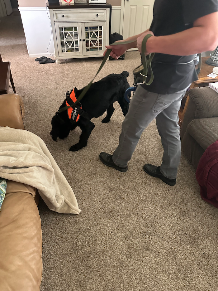 Mold Inspection Utah