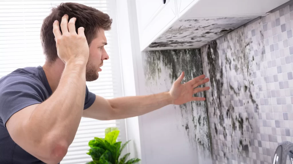 Mold Testing Colorado Springs