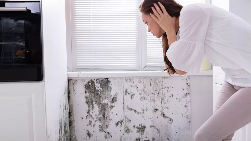 mold remediation