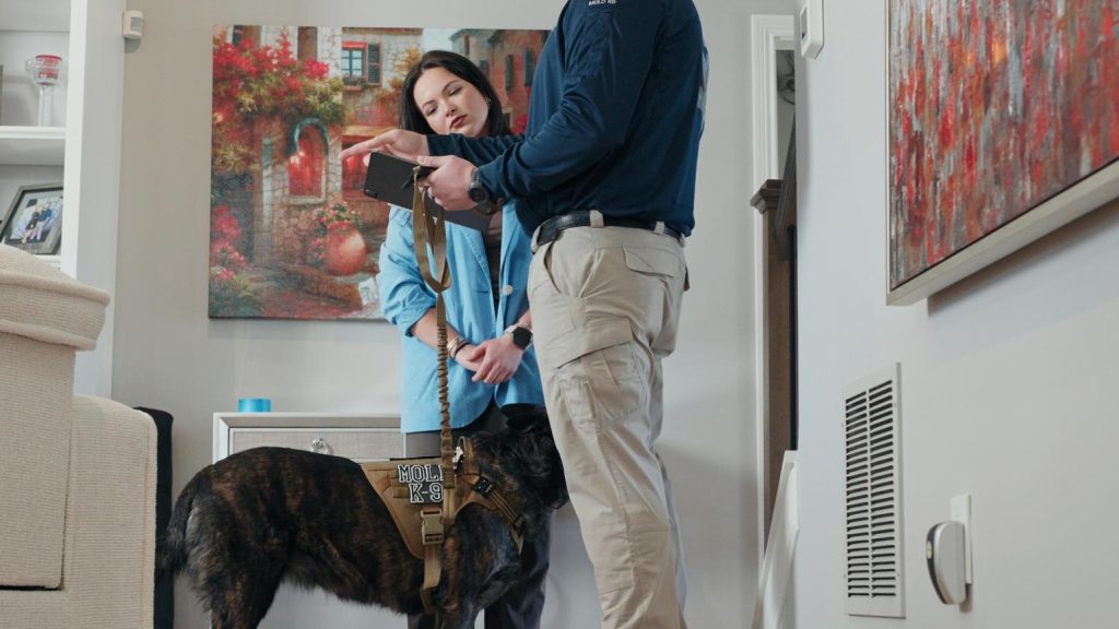 A Smarter Approach to Finding Mold