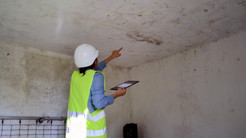 experienced mold inspector