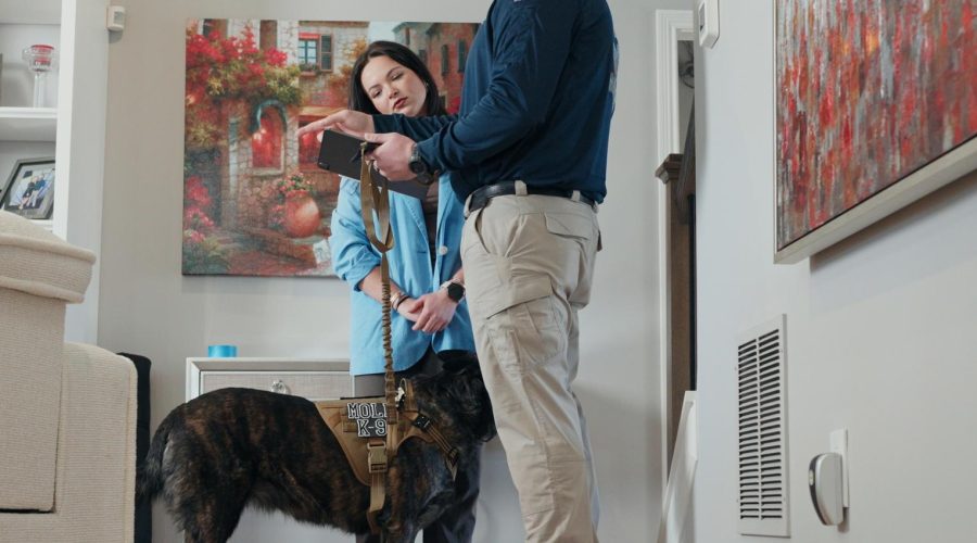 A Smarter Approach to Finding Mold