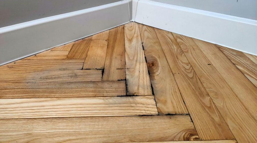 mold problem