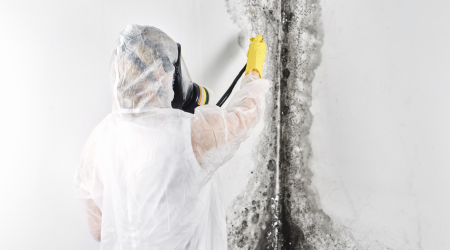 mold remediation salt lake city