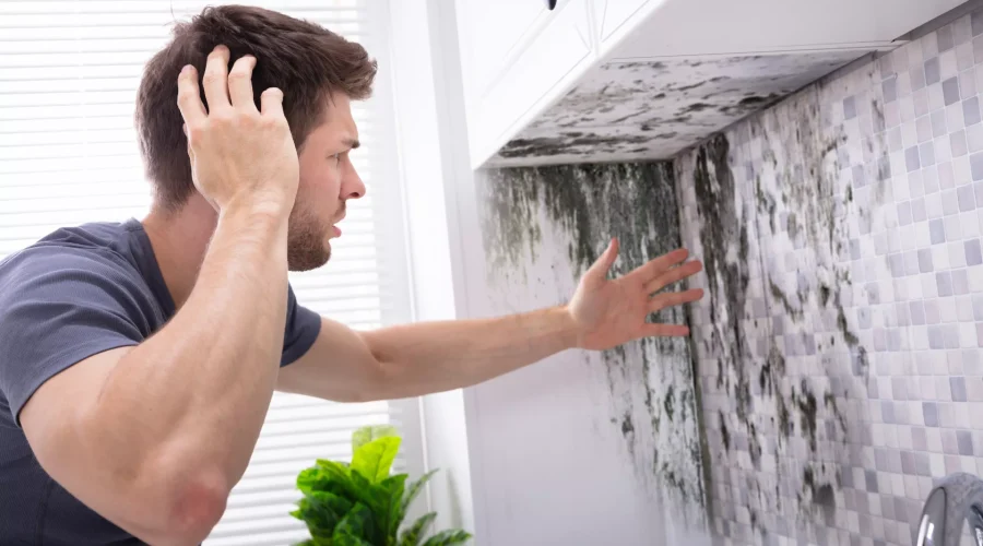 mold testing Ogden