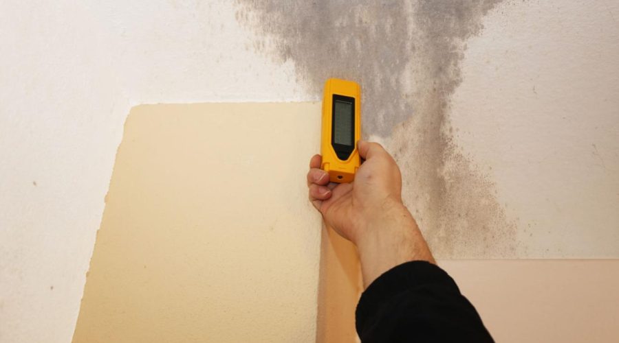 traditional mold inspection